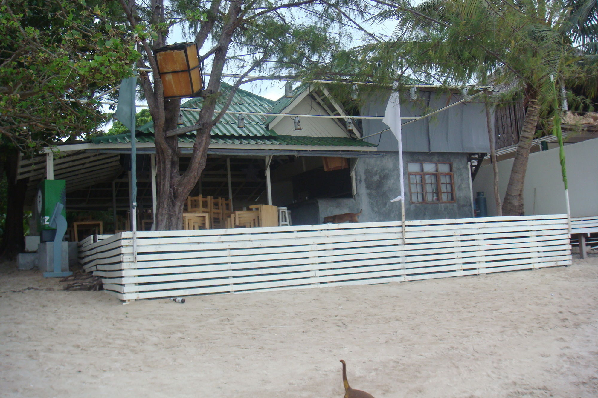 Silver Sands Beach Resort Κο Τάο Εξωτερικό φωτογραφία